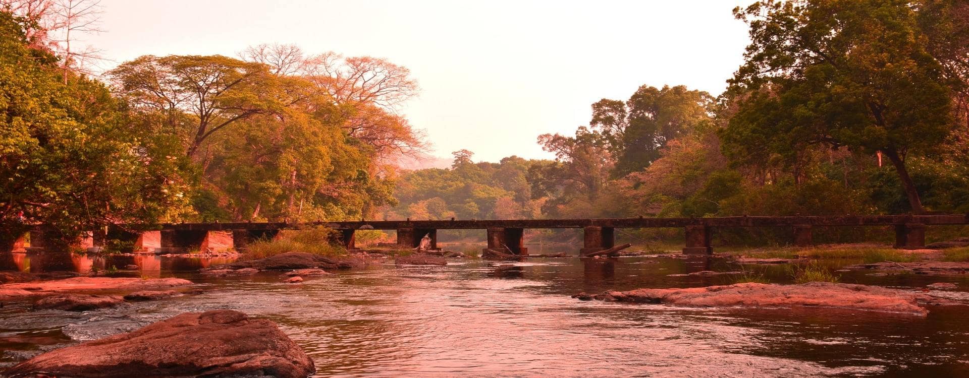 Kuttampuzha