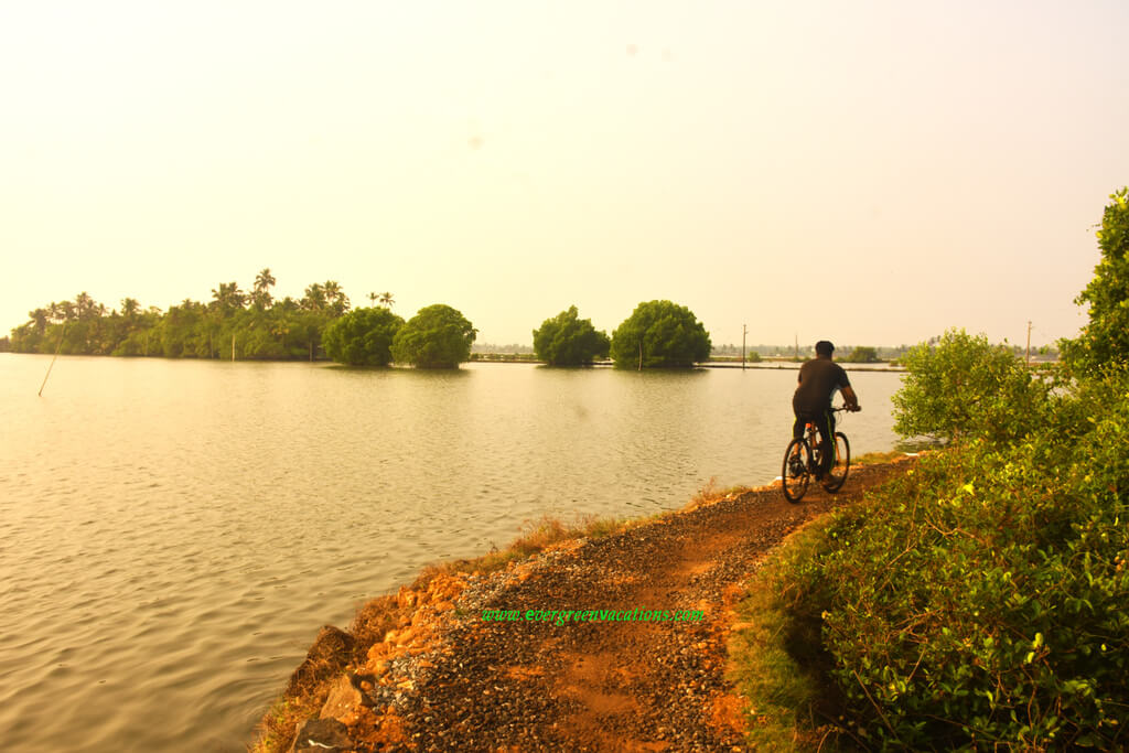 Kumbalangi
